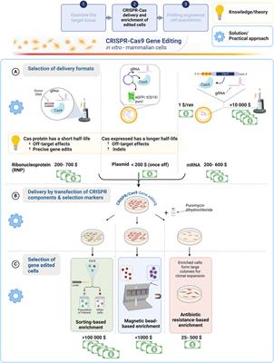 Making gene editing accessible in resource limited environments: recommendations to guide a first-time user